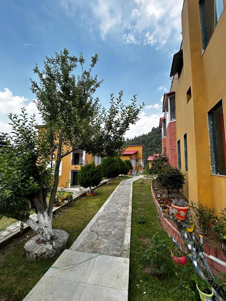 Mist N Meadows Resort Rajgarh  Luaran gambar
